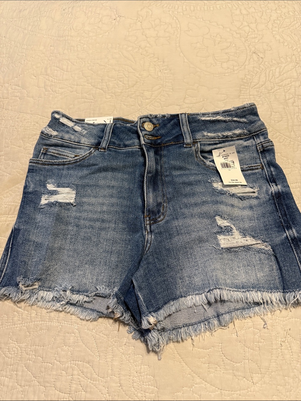 Flying Monkey Distressed Frayed Hem Denim Shorts in Blue